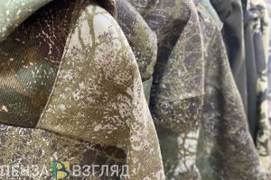 Статус ветерана сможет получить новая категория пензенских участников СВО