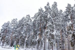 В начале февраля на Пензенскую область начнет влиять циклонический вихрь