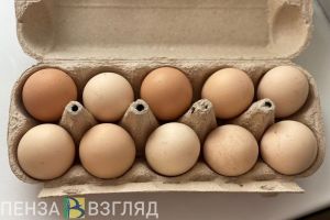 Пензенский Минсельхоз заявил о повышении яйценоскости кур по итогам 2023 года
