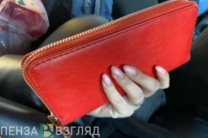 Стали известны «экспертные» оклады в органах местного самоуправления Пензы