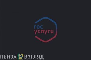 Разъяснено, собирают ли Госуслуги биометрию пензенцев
