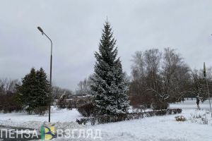 1 февраля в Пензенской области ожидается небольшой снег и 0 градусов