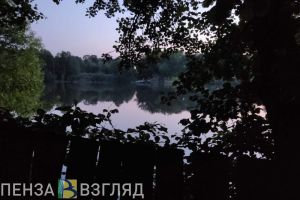 Сроки «дачной амнистии» для жителей Пензенской области снова намерены продлить
