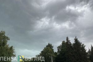 Пензенцы узнали, что органам транспортной безопасности можно сбивать БПЛА