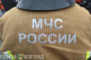 В Пензе следователи устанавливают обстоятельства смерти мужчины при пожаре
