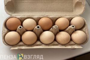 Пензенская область на первом месте в ПФО по производству птицы и яиц