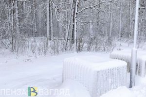В ночь с пятницы на субботу в Пензенской области выпадет снег