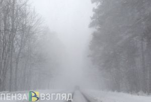 Интенсивные осадки и порывистый ветер: в Пензенскую область придет циклон