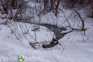 В Пензе проверяют факт сброса сточных вод в проток Целебуха