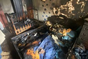 В Пензе назвали возможную причину смертельного пожара на улице Пушанина