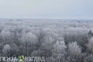 В Пензенской области количество снега превысило месячную норму дважды