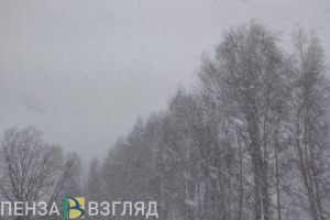 5 февраля в Пензенской области прогнозируется желтый уровень погодной опасности