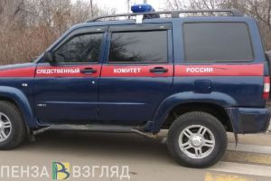 Следком изучит обстоятельства гибели 2 человек при пожаре в Пензенской области