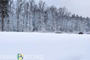 В Пензенской области 6 февраля ожидается сильный снегопад