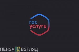 Пензенская область входит в топ-15 по качеству предоставления электронных услуг