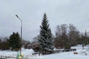 Жителям Пензенской области сообщили прогноз погоды на 6 февраля