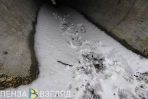 В Пензе разыскивают 34-летнего местного жителя