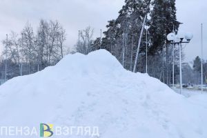 Стало известно, сколько осадков уже выпало в Пензенской области текущей зимой
