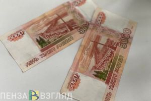 Утвержден порядок предоставления новой выплаты жителям Пензенской области