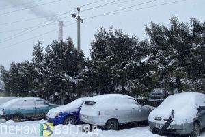 Пензенцы просят оборудовать парковочные места около гимназии №1