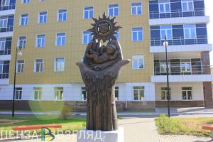 В Пензенской области в 2023 году провели 995 процедур ЭКО