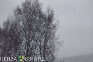 8 февраля в Пензенской области ожидается метель и ветер до 20 метров в секунду