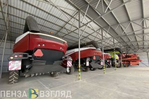 В 2023 году в Пензенской области на 6,8% выросло производство сельхозпродукции