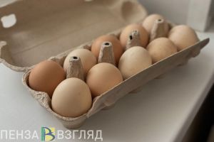 Росстат сообщил пензенцам, что куриные яйца дешевеют