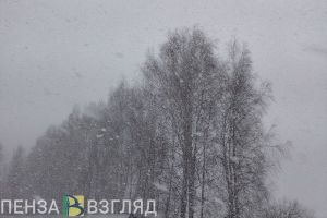 Пензенцы узнали, почему надвигающийся на регион циклон назвали «Ольгой»