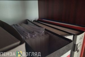 Экс-начальника Пензенского ЦГМС Неворотову убрали из комиссии по ликвидации ЧС