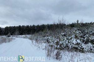 В воскресенье в Пензенской области температура воздуха упадет до -25 градусов