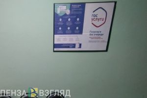 Пензенцам обещают 100%-ю доступность справок, льгот и пособий на «Госуслугах»