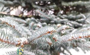 Днем в понедельник в Пензе станет немного теплее