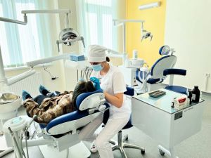 В детской поликлинике в Засечном пациентов ждут стоматологи