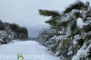 13 февраля температура воздуха в Пензенской области может достичь +2 градусов