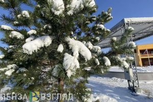 14 февраля местами по Пензенской области прогнозируют -17 градусов