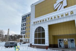 Названы суммы выплат пензячкам за родившуюся двойню или тройню