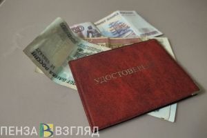 Эксперты напомнили пензенцам о пяти выплатах, которые можно получить в 2024 году