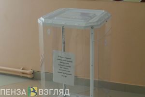 Жителей Кузнецка обойдут представители местных избирательных комиссий
