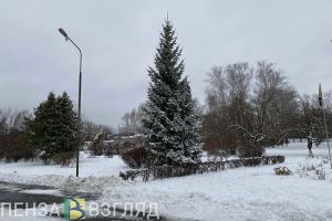 16 февраля температура в Пензенской области упадет до -15 градусов