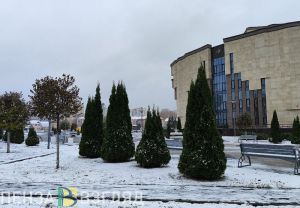 Ветер и снег: в Пензенскую область придет очередной циклон