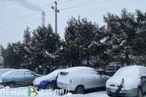 Пензячки просят парковку около здания женской консультации на улице Пушкина