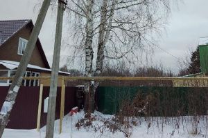 В Пензе по требованию инвалида спилили опасную березу