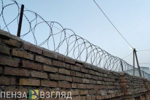Сотрудник магазина в Пензенской области похитил продукты на 370 тысяч рублей