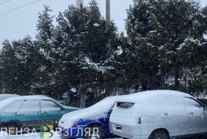 Пензенцам рассказали, есть ли в регионе льготы для владельцев электромобилей