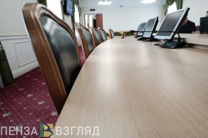 В Пензе стратегический совет обсудил вопросы образования, культуры и спорта