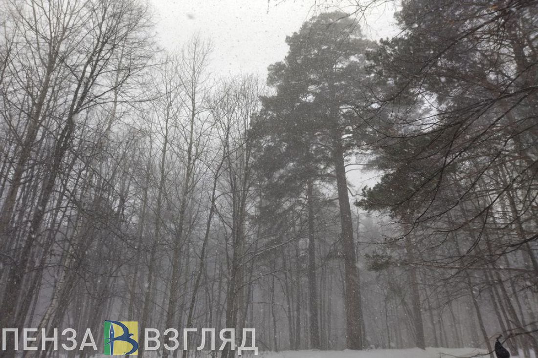 В воскресенье в Пензенской области ухудшатся погодные условия