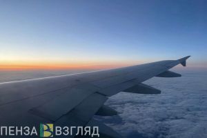 Российское посольство призывает пензенцев вернуться на Родину из-за заграницы