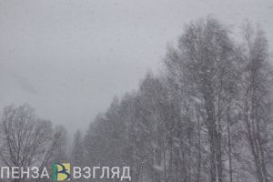 19 февраля на территории Пензенской области прогнозируется метель