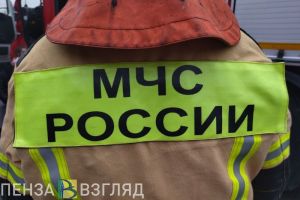 В пензенском садоводческом товариществе при пожаре погиб мужчина
